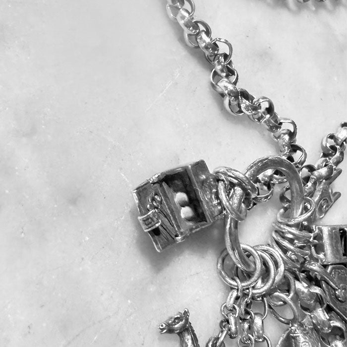 One-of-a-Kind Explorer’s Charm necklace