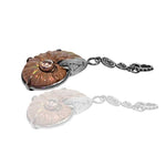 Ammonite Charm