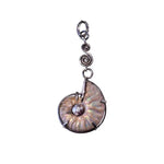 Ammonite Charm